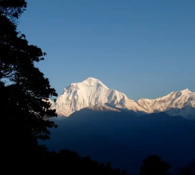 ghorepani-poonhill-trek