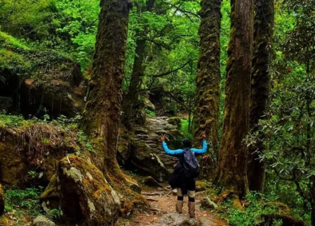 langtang-valley-trek